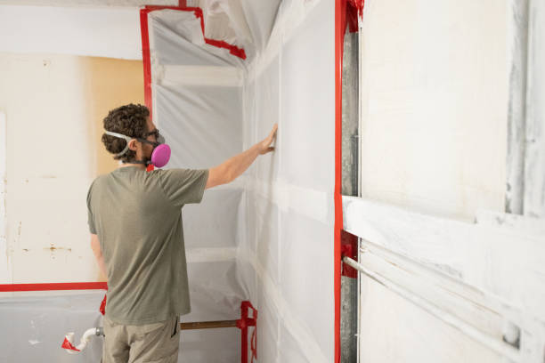 Best Post-Construction Mold Inspection  in Afton, MN