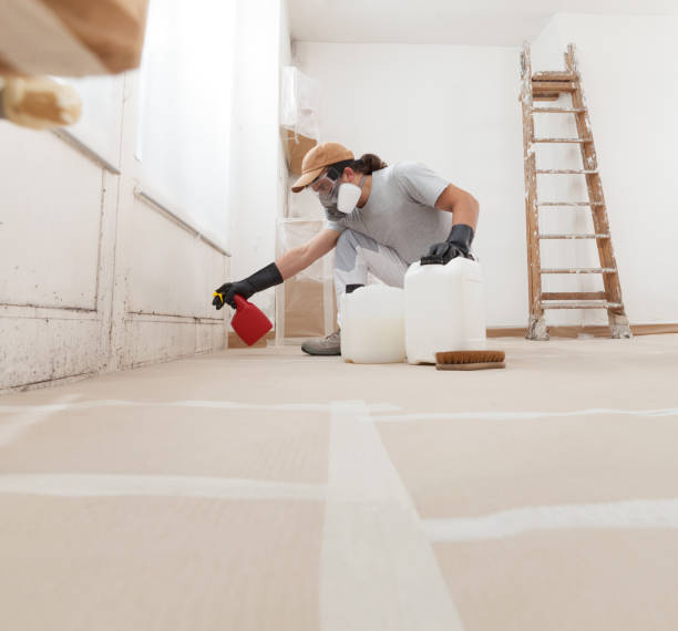 Best Mold Remediation for Healthcare Facilities  in Afton, MN